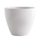 Cupping Bowl 6 Τεμάχια Joefrex cp06